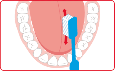 How to Brush Your Teeth  (1).png